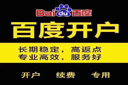 百度竞价排名案例：实战解析如何抢占市场先机